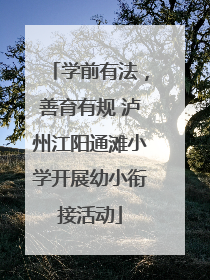 学前有法，善育有规 泸州江阳通滩小学开展幼小衔接活动