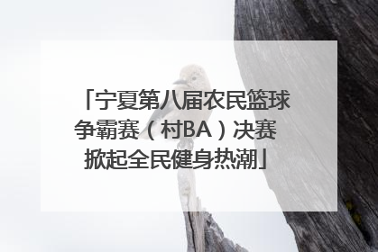 宁夏第八届农民篮球争霸赛（村BA）决赛掀起全民健身热潮