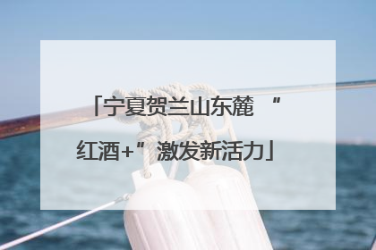宁夏贺兰山东麓 “红酒+”激发新活力