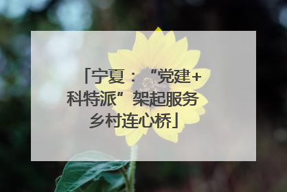 宁夏：“党建+科特派”架起服务乡村连心桥