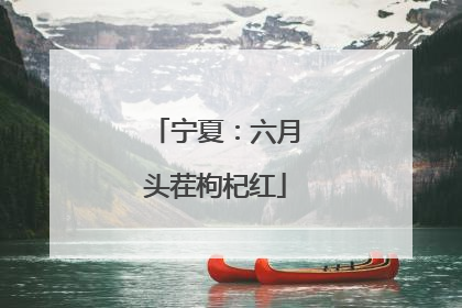 宁夏：六月头茬枸杞红