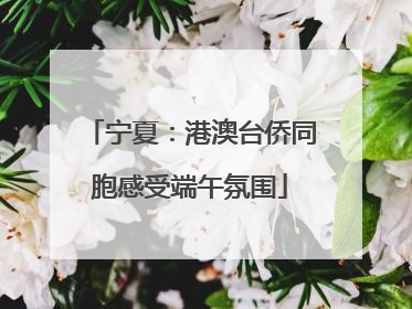 宁夏：港澳台侨同胞感受端午氛围