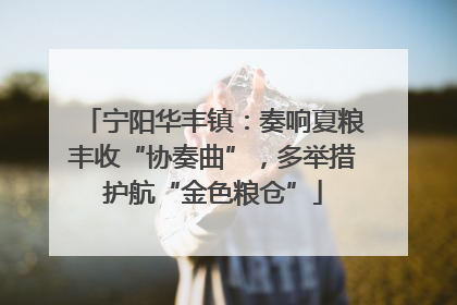 宁阳华丰镇：奏响夏粮丰收“协奏曲”，多举措护航“金色粮仓”
