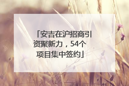 安吉在沪招商引资聚新力，54个项目集中签约