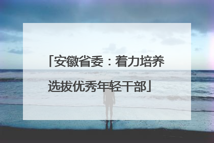 安徽省委：着力培养选拔优秀年轻干部