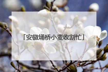 安徽埇桥小麦收割忙