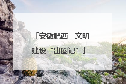 安徽肥西：文明建设“出圈记”