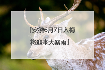 安徽6月7日入梅 将迎来大暴雨