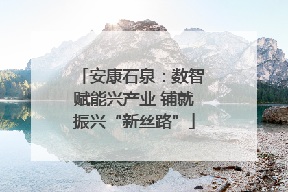 安康石泉：数智赋能兴产业 铺就振兴“新丝路”