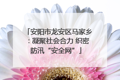 安阳市龙安区马家乡：凝聚社会合力 织密防汛“安全网”