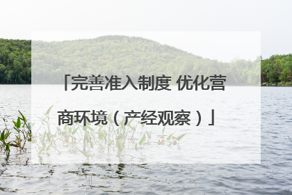 完善准入制度 优化营商环境（产经观察）