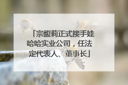 宗馥莉正式接手娃哈哈实业公司，任法定代表人、董事长