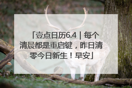 壹点日历6.4｜每个清晨都是重启键，昨日清零今日新生！早安