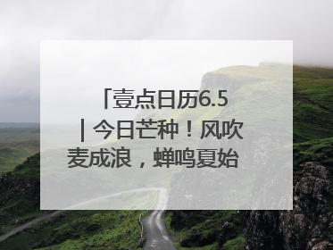 壹点日历6.5｜今日芒种！风吹麦成浪，蝉鸣夏始忙！大家早安