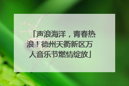 声浪海洋，青春热浪！德州天衢新区万人音乐节燃情绽放