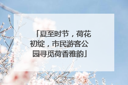 夏至时节，荷花初绽，市民游客公园寻觅荷香雅韵