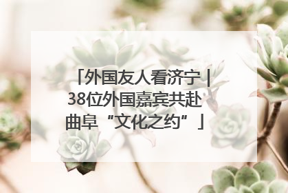 外国友人看济宁｜38位外国嘉宾共赴曲阜“文化之约”