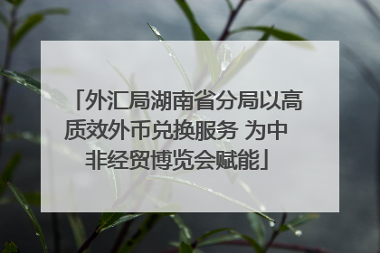 外汇局湖南省分局以高质效外币兑换服务 为中非经贸博览会赋能