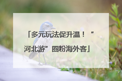 多元玩法促升温！“河北游”圈粉海外客