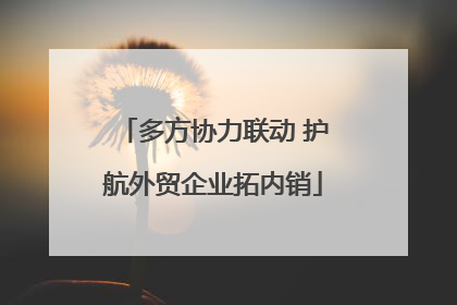 多方协力联动 护航外贸企业拓内销