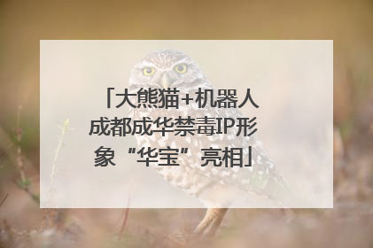 大熊猫+机器人 成都成华禁毒IP形象“华宝”亮相