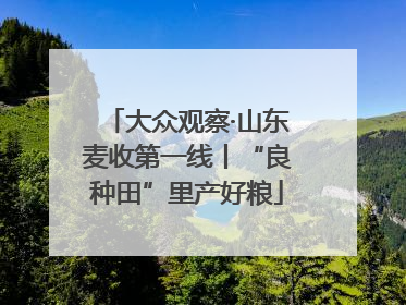 大众观察·山东麦收第一线丨“良种田”里产好粮