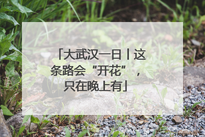 大武汉一日丨这条路会“开花”，只在晚上有