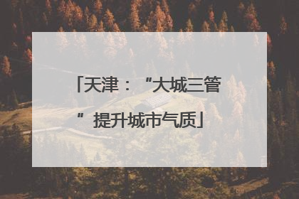天津：“大城三管”提升城市气质