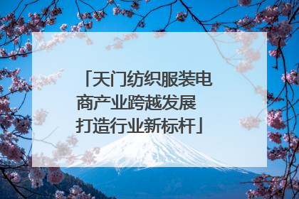 天门纺织服装电商产业跨越发展 打造行业新标杆
