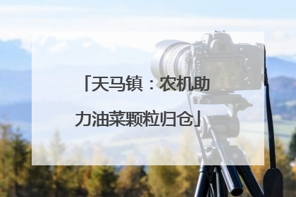 天马镇：农机助力油菜颗粒归仓