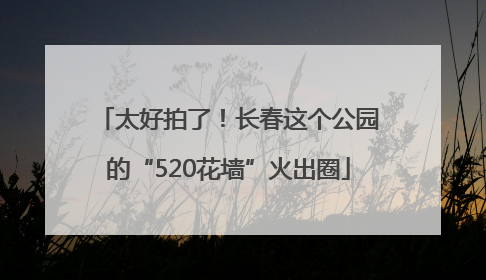 太好拍了！长春这个公园的“520花墙”火出圈