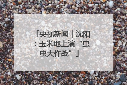 央视新闻｜沈阳：玉米地上演“虫虫大作战”