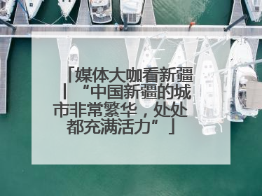 媒体大咖看新疆丨“中国新疆的城市非常繁华，处处都充满活力”