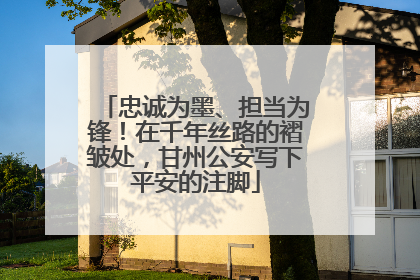 忠诚为墨、担当为锋！在千年丝路的褶皱处，甘州公安写下平安的注脚