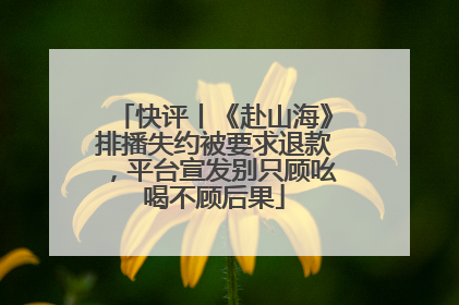 快评丨《赴山海》排播失约被要求退款，平台宣发别只顾吆喝不顾后果