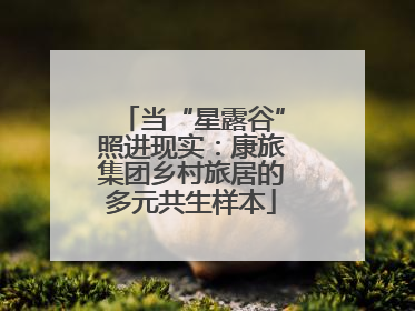 当“星露谷”照进现实：康旅集团乡村旅居的多元共生样本