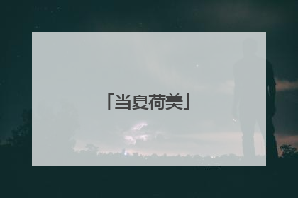 当夏荷美