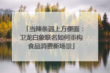 当辣条遇上方便面：卫龙白象联名如何重构食品消费新场景