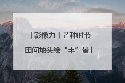 影像力丨芒种时节 田间地头绘“丰”景