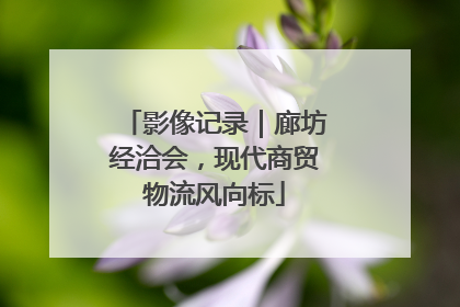 影像记录｜廊坊经洽会，现代商贸物流风向标