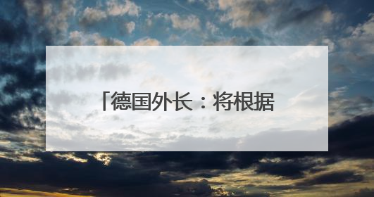 德国外长：将根据加沙人道局势决定是否继续向以方供武