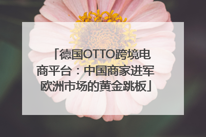 德国OTTO跨境电商平台：中国商家进军欧洲市场的黄金跳板