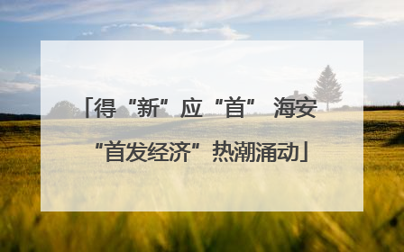 得“新”应“首” 海安“首发经济”热潮涌动