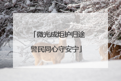 微光成炬护归途 警民同心守安宁