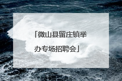微山县留庄镇举办专场招聘会