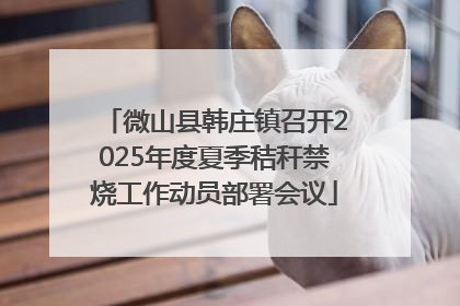 微山县韩庄镇召开2025年度夏季秸秆禁烧工作动员部署会议