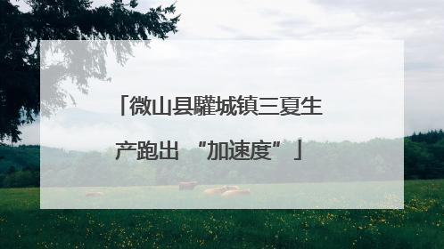 微山县驩城镇三夏生产跑出 “加速度”