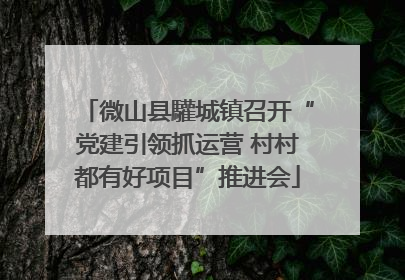 微山县驩城镇召开“党建引领抓运营 村村都有好项目”推进会
