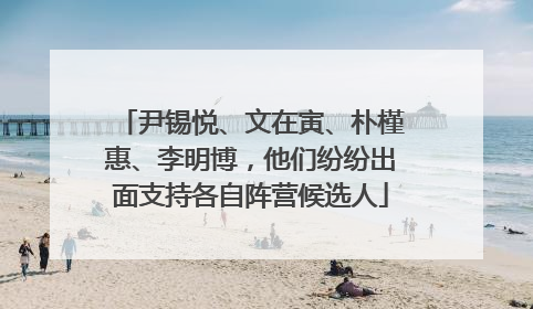 尹锡悦、文在寅、朴槿惠、李明博，他们纷纷出面支持各自阵营候选人