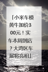 小米车模黄牛加价300元！实车本周到店？大湾区车展将亮相